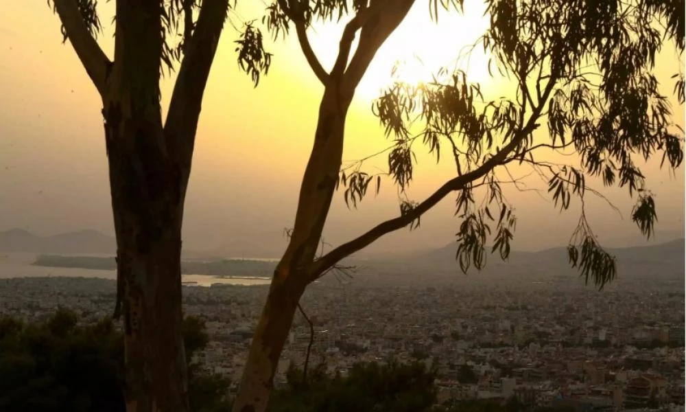 Καιρός – Meteo: Άνοδος της θερμοκρασίας την Κυριακή και πιθανότητα για βροχές